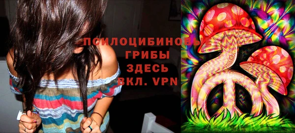 мяу мяу кристалл Бородино